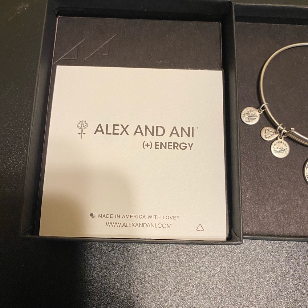 Alex and Ani Bracelet